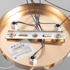 Люстра "Оливия" 3х60Вт Е27 Золото, белый 48х48х28см - фото 24613012