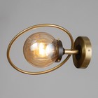 Бра "Салли" 1х60Вт Е27 Медный, чёрный 26х13х33см - фото 24666107