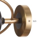 Бра "Салли" 1х60Вт Е27 Медный, чёрный 26х13х33см - фото 24666110