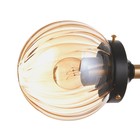 Бра "Салли" 1х60Вт Е27 Медный, чёрный 26х13х33см - фото 24666111