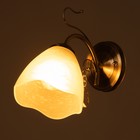 Бра "Роуз" 1х40Вт Е27 Античная бронза 25х13х23см - фото 24666123