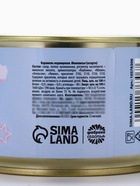 Леденцы монпансье «Год лошади 2026. Не жди чуда», в консервной банке, 140 г - Фото 5