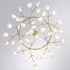 Люстра подвесная Arte Lamp Candy A7272SP-45GO, G4, 45х3 Вт, 102х102х33 см, золотистый - Фото 2