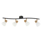 Спот Arte Lamp Falena A3117PL-4BK, E14, 4х40 Вт, 9х73х20 см, чёрный - фото 4484215