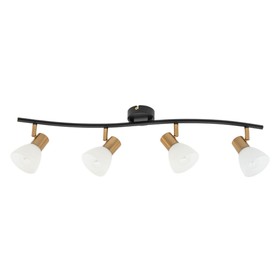 {{productViewItem.photos[photoViewList.activeNavIndex].Alt || productViewItem.photos[photoViewList.activeNavIndex].Description || 'Спот Arte Lamp Falena A3117PL-4BK, E14, 4х40 Вт, 9х73х20 см, чёрный'}}