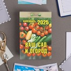 Календарь отрывной "Ваш сад и огород" 2025 год, 7,7 х 11,4 см - фото 24602646