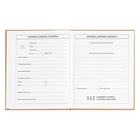 Дневник универсальный 5-11классов, 48 листов "Граффитист", крафт, твердая обложка,тиснение фольгой, блок 65г/м2 - фото 24632603