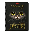 Тетрадь 48 листов в клетку, на гребне "Волшебные глаза", обложка мелованный картон, матовая ламинация, 3D-лак, блок 65 г/м2, МИКС (комплект 2 шт) - фото 24593289