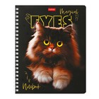 Тетрадь 48 листов в клетку, на гребне "Волшебные глаза", обложка мелованный картон, матовая ламинация, 3D-лак, блок 65 г/м2, МИКС (комплект 2 шт) - фото 24632699