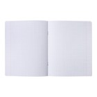 Тетрадь 48л кл Spring cat, обл мел карт, скругл угл, бл 65г/м2, МИКС (комплект 3 шт) - фото 24681059