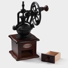 Кофемолка ручная Доляна «Мастер», 26×11×11 см, бук, цвет тёмное дерево - Фото 3