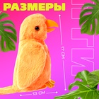 Интерактивная игрушка - повторюшка «Птичка-говорушка», звук, МИКС - Фото 6