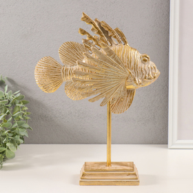 Сувенир полистоун "Лучистая рыбка" золото с патиной 25х11х33 см