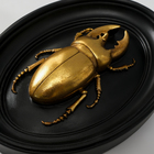 Панно настенное «Жук-олень», полистоун, декор, чёрный с золотом, 15×3×19 см - Фото 3