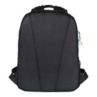 Рюкзак молодежный Grizzly, 38 х 29 х 16 см, эргономичная спинка - фото 24660215