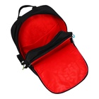 Рюкзак молодежный Grizzly, 38 х 29 х 16 см, эргономичная спинка - фото 24660217