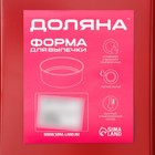 Противень Доляна «Ренард. Прямоугольник», 25×17×3 см, антипригарное покрытие, красный - Фото 6