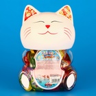 Десерт желейный «Дави желе!»котик, 13 г (комплект 100 шт) - фото 24626086