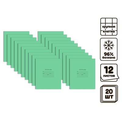 Комплект тетрадей из 20 штук, 12 листов в крупную клетку Бумажная фабрика "Зелёная обложка", 60 г/м2, блок офсет, белизна 96%