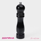 Мельница для специй Доляна, 21×4.5 см, металлический механизм, цвет чёрный - Фото 1