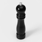 Мельница для специй Доляна, 21×4.5 см, металлический механизм, цвет чёрный - Фото 5