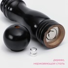 Мельница для специй Доляна, 21×4.5 см, металлический механизм, цвет чёрный - Фото 2