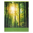 Тетрадь 48 листов в клетку "Природа", обложка мелованный картон, блок №2 (серые листы), МИКС (комплект 3 шт) - фото 24644728