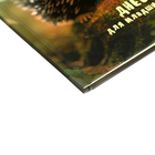 Дневник для 1-4 классов, твёрдая обложка "Зверушки", матовая ламинация, выборочный лак, блок 60 г/м2 - фото 24639997