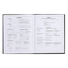 Дневник для 5-11 классов, 48 листов "Обаятельная и мрачная", твёрдая обложка, глянцевая ламинация, блок 60 г/м2 - фото 24640079