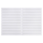 Тетрадь для нот А4 24 листа, на скрепке "Музыкальный спаниель", обложка мелованный картон, глянцевая ламинация, блок 70 г/м2 - фото 24644790