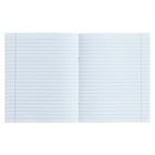 Тетрадь 80 листов в линейку, "Регата", обложка мелованный картон, блок 60 г/м2, МИКС - фото 24644816