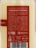 Гель для душа ЧИСТОЕ СЧАСТЬЕ, 300 мл, аромат тыквенный капучино, Новый Год - Фото 6