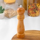 Мельница для специй Доляна, 21.5×5 см, металлический механизм, бежевая - Фото 1