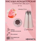 Насадка кондитерская KONFINETTA «Открытая звезда», d=3,3 см, выход 1,3 см, нержавеющая сталь - Фото 1