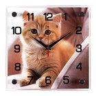 Часы настенные, интерьерные "Рыжий котёнок" , бесшумные, 25 х 25 см, АА - фото 321780210