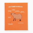 Тетрадь в клетку, 36 л., А5, на скрепке, блок №1 «Капибара» МИКС - Фото 4