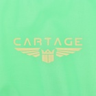 Термосумка Cartage Т-21, салатовый, 18 л, 35х21х24 см - Фото 5