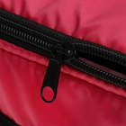 Термосумка Cartage Т-23, розовый, 18 л, 35х21х24 см - Фото 4