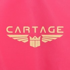 Термосумка Cartage Т-23, розовый, 18 л, 35х21х24 см - фото 12111312