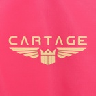 Термосумка Cartage Т-23, розовый, 18 л, 35х21х24 см - Фото 5
