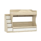 Кровать двухъярусная «Оливия», 800×1900 мм, цвет белое дерево/дуб сонома - Фото 1