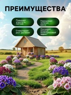 Спрей для фиалок и цветущих комнатных растений Greenlife «Органический эликсир», 500 мл - Фото 3