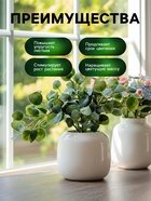 Спрей для комнатных растений Greenlife «Органический Эликсир», 500 мл - Фото 3