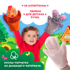 Кукольный театр «Сказка: Курочка Ряба», 4 куклы на руку, сценарий - Фото 2