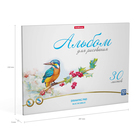 Альбом для рисования А4, 30 листов, блок 120 г/м², на клею, Erich Krause "Birds", 100% белизна, твердая подложка - фото 24640304