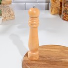 Мельница для специй Доляна, 25×5 см, металлический механизм, бежевая - Фото 1