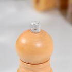 Мельница для специй Доляна, 25×5 см, металлический механизм, бежевая - Фото 3