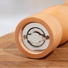 Мельница для специй Доляна, 25×5 см, металлический механизм, бежевая - Фото 2