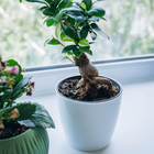 Кашпо для цветов, d=10 см, 0.5 л, пластик, белое - Фото 4