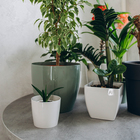 Кашпо для цветов, d=10 см, 0.5 л, пластик, бежевое - Фото 4